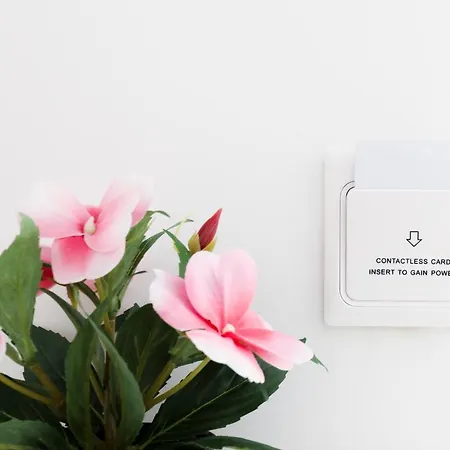 Apartment Guesthost - I Miracoli